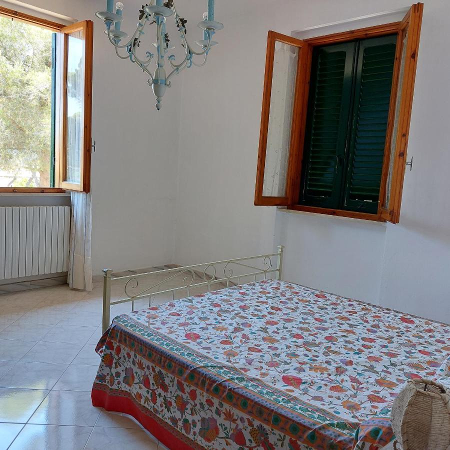 Appartamento A Due Passi Dal Mare A Quercianella Eksteriør billede